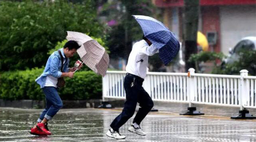 9號臺風“馬鞍”生成！金環(huán)電器提醒大家要注意的事項