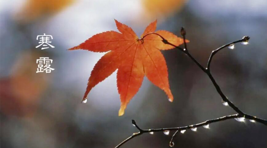 寒露時(shí)節(jié)！金環(huán)電器提醒大家要注意的事項(xiàng)