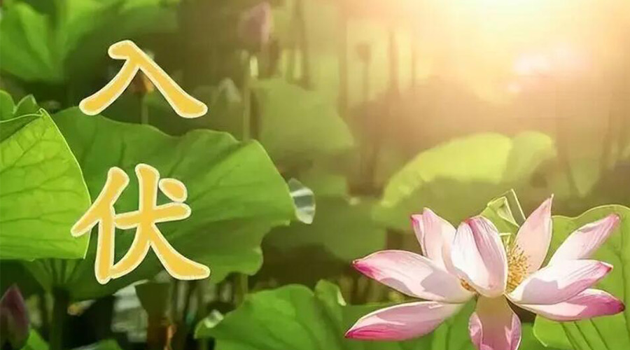 入伏天來(lái)襲！金環(huán)電器提醒大家要注意的事項(xiàng)