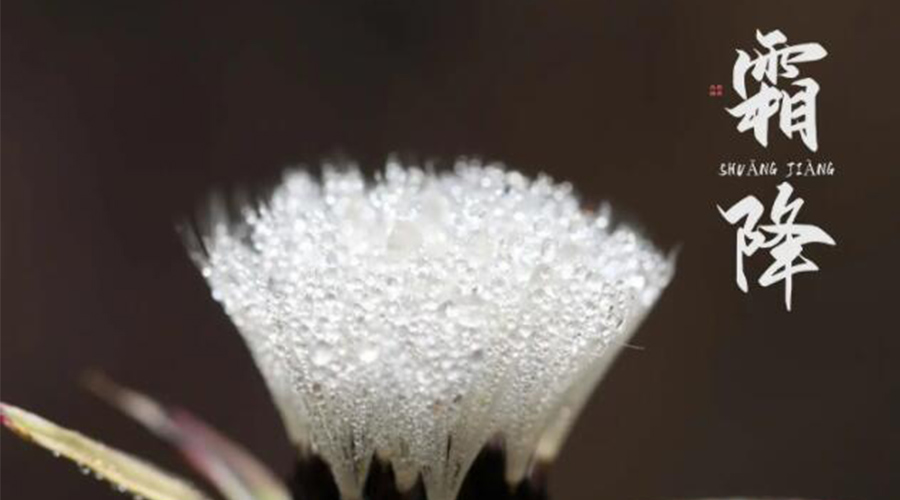 霜降時(shí)節(jié)！金環(huán)電器提醒大家要注意的事項(xiàng)