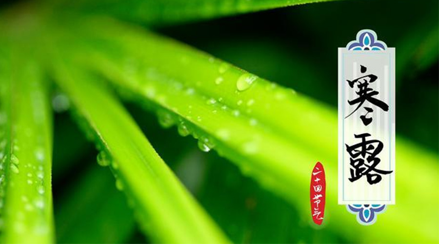 寒露時(shí)節(jié)到！金環(huán)電器提醒這些干衣事項(xiàng)要注意