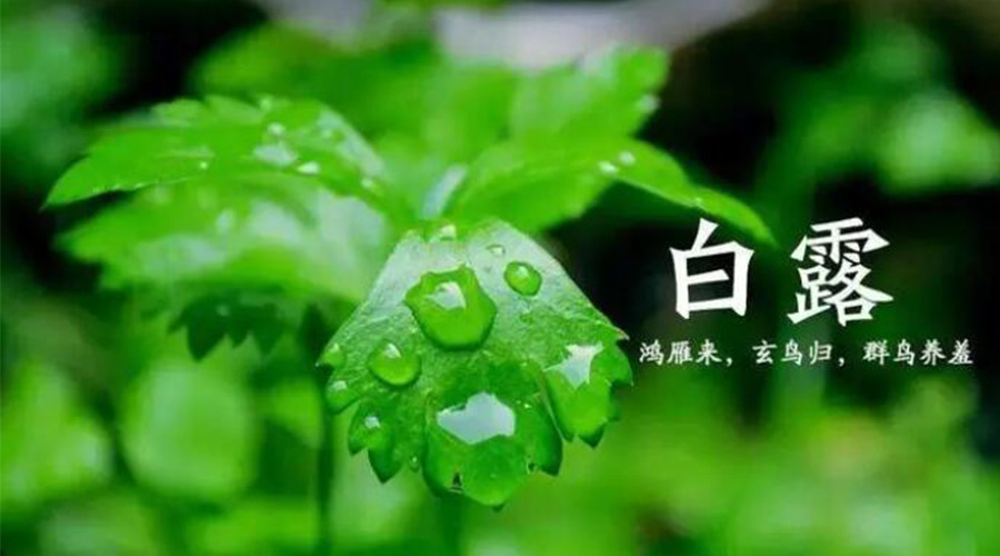 白露時節(jié)！金環(huán)電器提醒大家要注意的事項