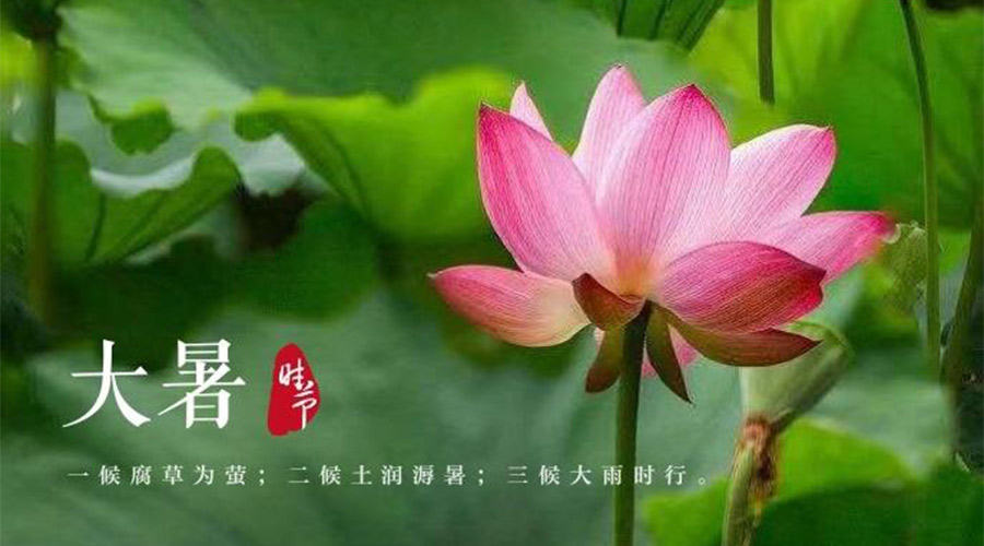 大暑時(shí)節(jié)！金環(huán)電器提醒大家要注意的事項(xiàng)