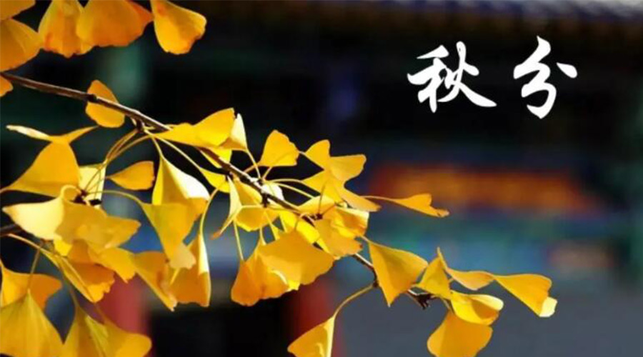 秋分時節(jié)！金環(huán)電器提醒大家要注意的事項