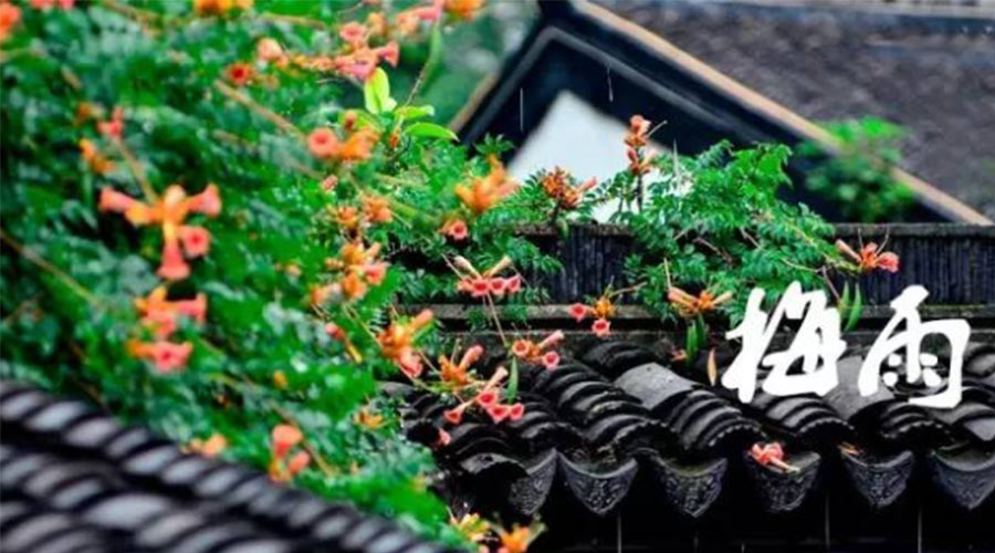 什么是梅雨？梅雨如何形成？  金環(huán)電器告訴你答案